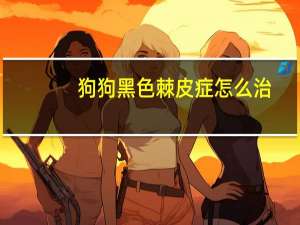 狗狗黑色棘皮症怎么治