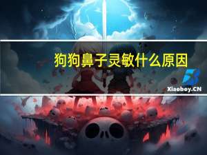 狗狗鼻子灵敏什么原因