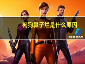 狗狗鼻子烂是什么原因