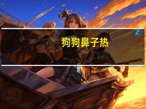 狗狗鼻子热