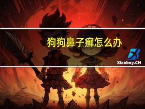 狗狗鼻子癣怎么办