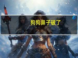 狗狗鼻子破了