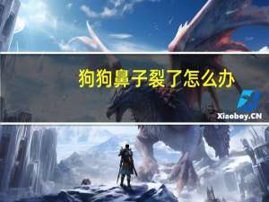 狗狗鼻子裂了怎么办