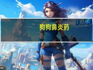 狗狗鼻炎药