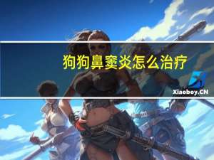 狗狗鼻窦炎怎么治疗