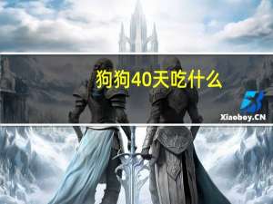 狗狗40天吃什么