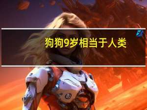 狗狗9岁相当于人类