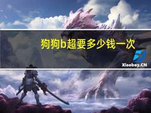狗狗b超要多少钱一次