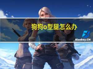 狗狗o型腿怎么办
