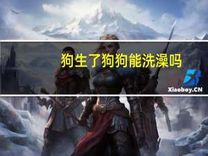 狗生了狗狗能洗澡吗