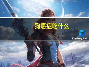 狗癌症吃什么