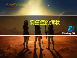 狗癌症的病状