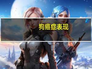 狗癌症表现
