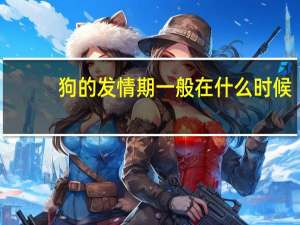狗的发情期一般在什么时候