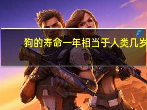 狗的寿命一年相当于人类几岁