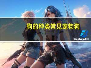 狗的种类常见宠物狗