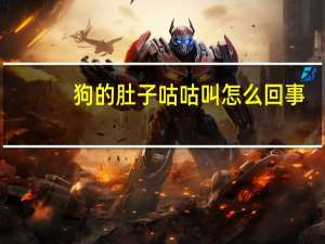 狗的肚子咕咕叫怎么回事