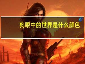 狗眼中的世界是什么颜色