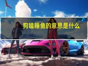 狗瞌睡鱼的意思是什么