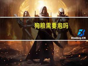 狗粮需要泡吗