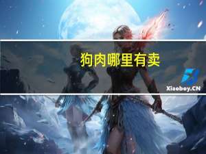 狗肉哪里有卖