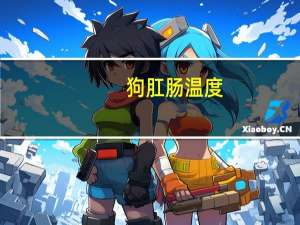 狗肛肠温度
