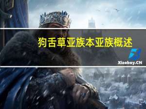 狗舌草亚族本亚族概述