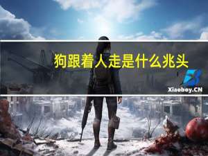 狗跟着人走是什么兆头