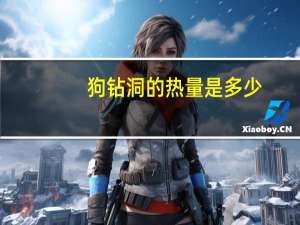 狗钻洞的热量是多少