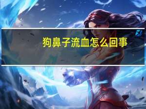 狗鼻子流血怎么回事