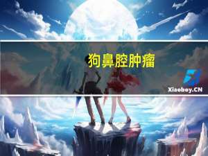 狗鼻腔肿瘤