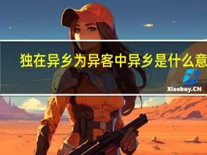 独在异乡为异客中异乡是什么意思（独在异乡为异客异意思）