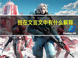 独在文言文中有什么解释