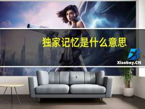 独家记忆是什么意思