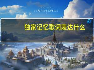 独家记忆歌词表达什么