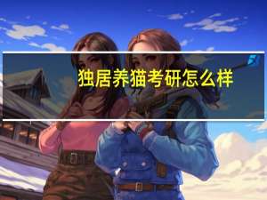 独居养猫考研怎么样