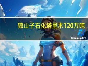 独山子石化塔里木120万吨/年二期乙烯项目正式启动