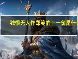 独恨无人作郑笺的上一句是什么
