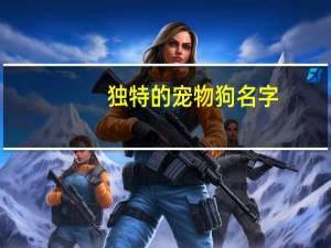 独特的宠物狗名字