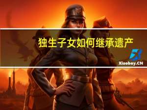 独生子女如何继承遗产