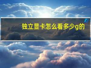独立显卡怎么看多少g的（独立显卡怎么看）