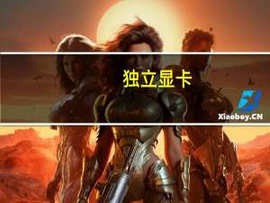 独立显卡（独立显卡）