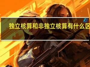 独立核算和非独立核算有什么区别