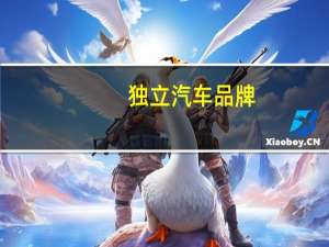 独立汽车品牌