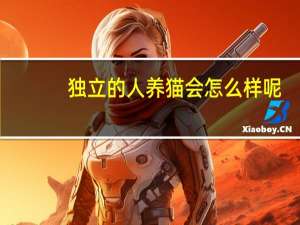 独立的人养猫会怎么样呢