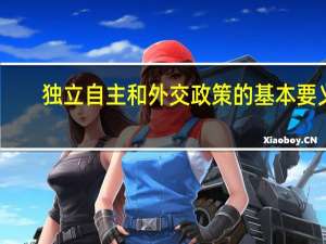 独立自主和外交政策的基本要义