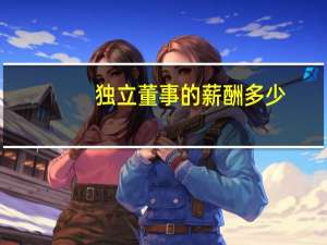 独立董事的薪酬多少