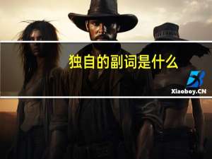 独自的副词是什么