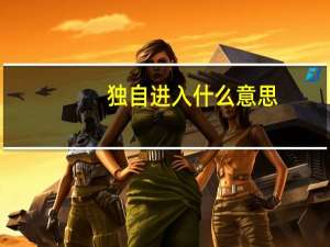 独自进入什么意思