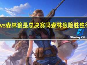 独行侠vs森林狼是总决赛吗 森林狼险胜独行侠扳回一城